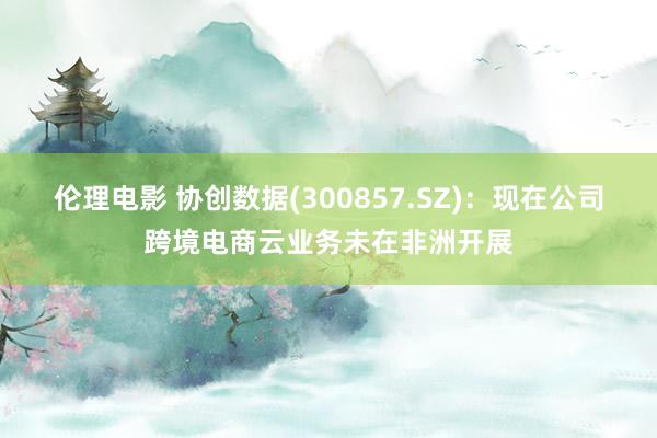 伦理电影 协创数据(300857.SZ):现在公司跨境电商云业务未在非洲开展