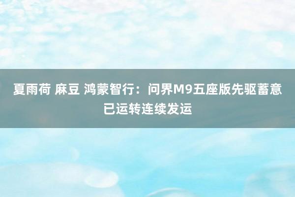 夏雨荷 麻豆 鸿蒙智行：问界M9五座版先驱蓄意已运转连续发运