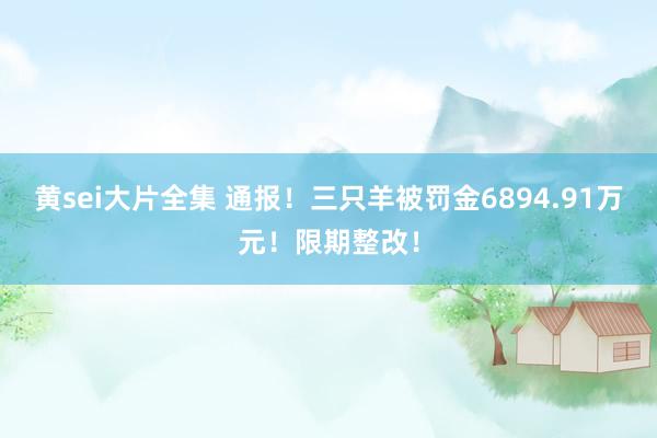 黄sei大片全集 通报！三只羊被罚金6894.91万元！限期整改！