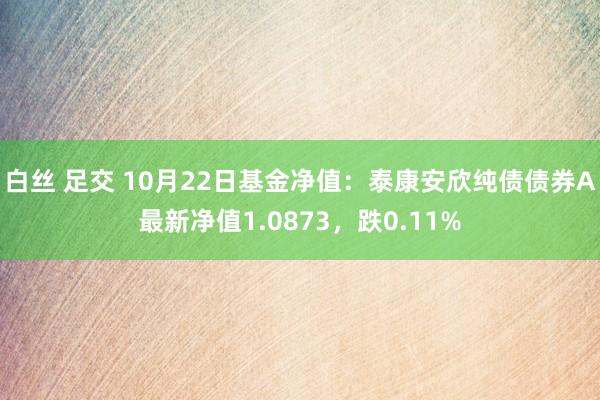 白丝 足交 10月22日基金净值：泰康安欣纯债债券A最新净值1.0873，跌0.11%