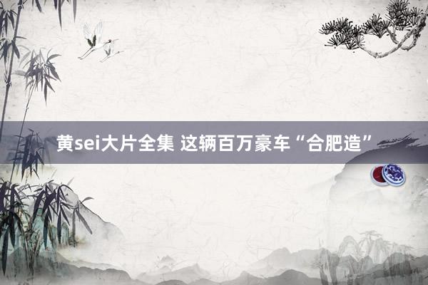 黄sei大片全集 这辆百万豪车“合肥造”