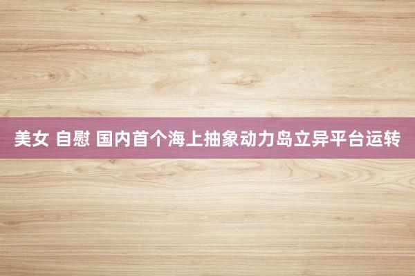 美女 自慰 国内首个海上抽象动力岛立异平台运转