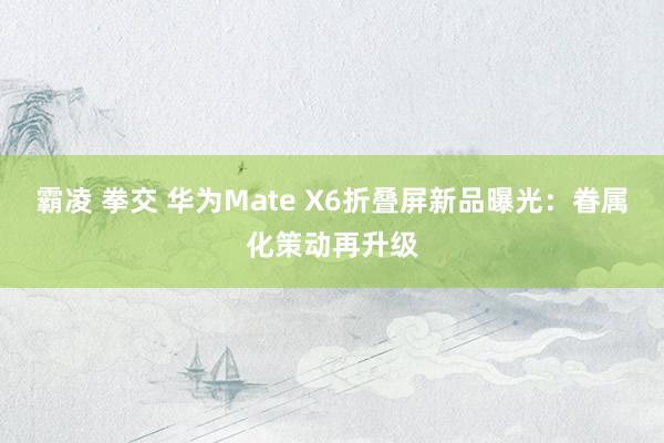 霸凌 拳交 华为Mate X6折叠屏新品曝光：眷属化策动再升级
