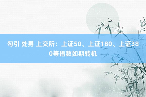勾引 处男 上交所：上证50、上证180、上证380等指数如期转机