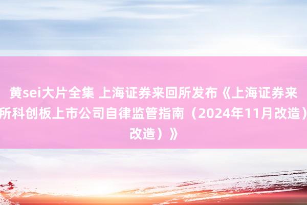 黄sei大片全集 上海证券来回所发布《上海证券来回所科创板上市公司自律监管指南（2024年11月改造）》
