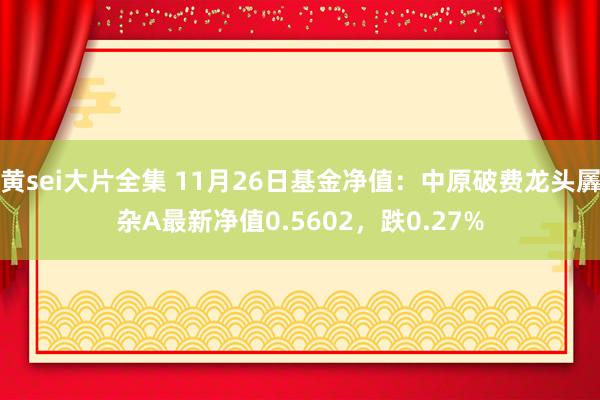 黄sei大片全集 11月26日基金净值：中原破费龙头羼杂A最新净值0.5602，跌0.27%