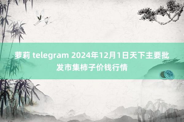 萝莉 telegram 2024年12月1日天下主要批发市集柿子价钱行情