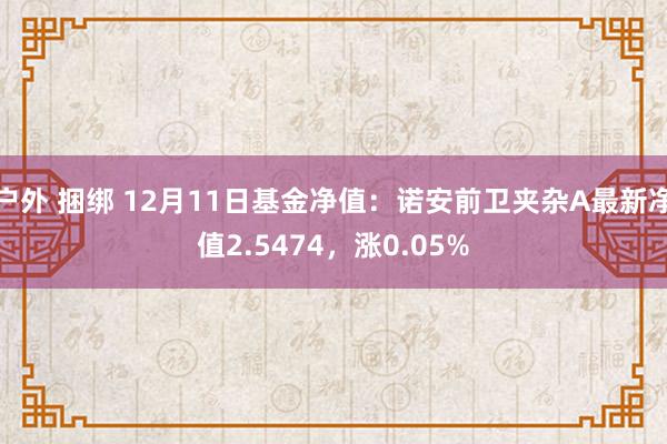 户外 捆绑 12月11日基金净值：诺安前卫夹杂A最新净值2.5474，涨0.05%