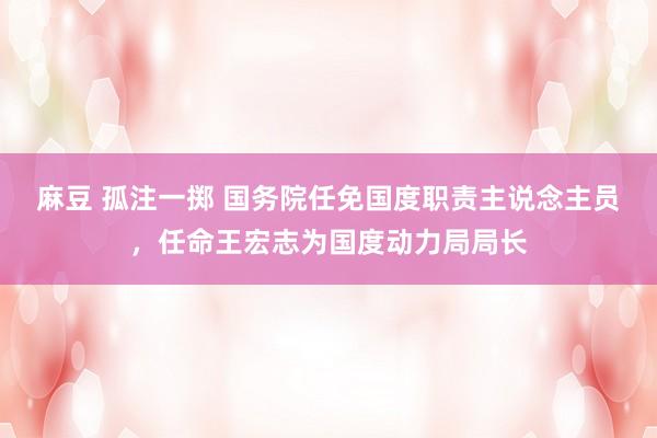 麻豆 孤注一掷 国务院任免国度职责主说念主员，任命王宏志为国度动力局局长