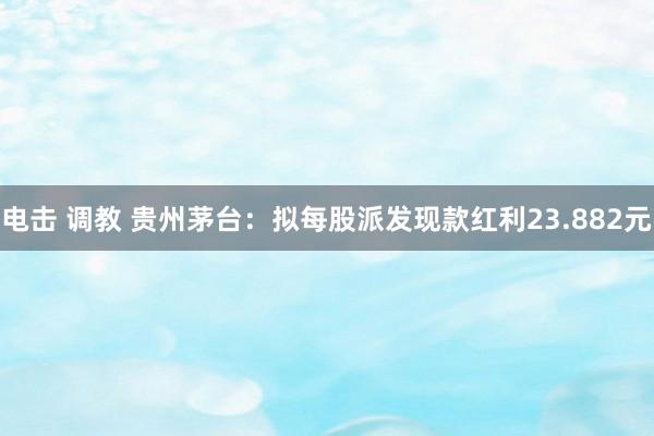 电击 调教 贵州茅台：拟每股派发现款红利23.882元