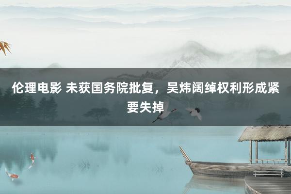 伦理电影 未获国务院批复，吴炜阔绰权利形成紧要失掉