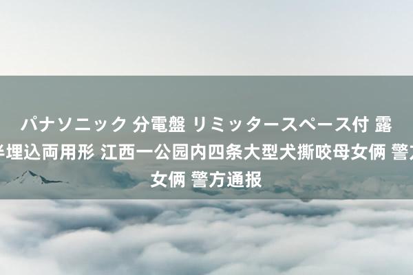 パナソニック 分電盤 リミッタースペース付 露出・半埋込両用形 江西一公园内四条大型犬撕咬母女俩 警方通报