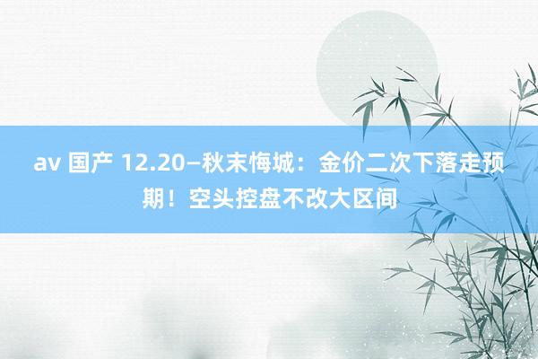av 国产 12.20—秋末悔城：金价二次下落走预期！空头控盘不改大区间