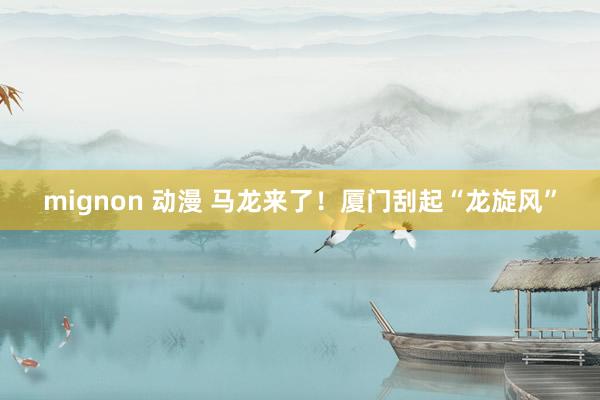 mignon 动漫 马龙来了！厦门刮起“龙旋风”