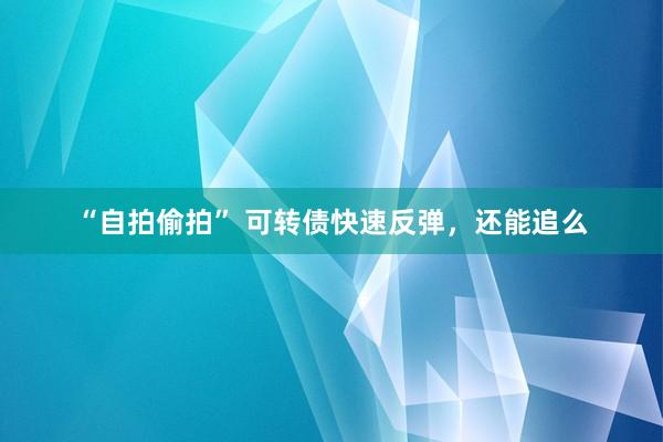 “自拍偷拍” 可转债快速反弹，还能追么