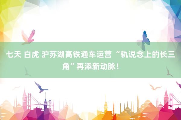 七天 白虎 沪苏湖高铁通车运营 “轨说念上的长三角”再添新动脉！