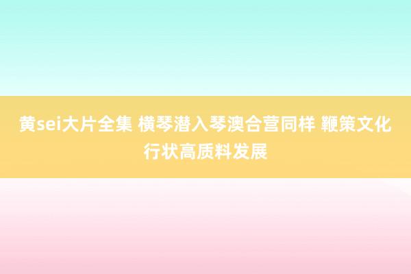 黄sei大片全集 横琴潜入琴澳合营同样 鞭策文化行状高质料发展