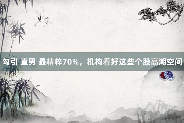勾引 直男 最精粹70%，机构看好这些个股高潮空间