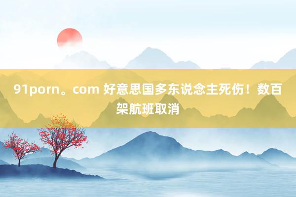 91porn。com 好意思国多东说念主死伤！数百架航班取消