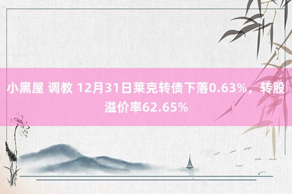 小黑屋 调教 12月31日莱克转债下落0.63%，转股溢价率62.65%