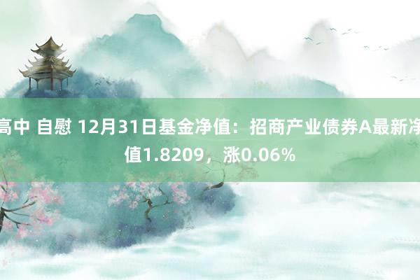 高中 自慰 12月31日基金净值：招商产业债券A最新净值1.8209，涨0.06%