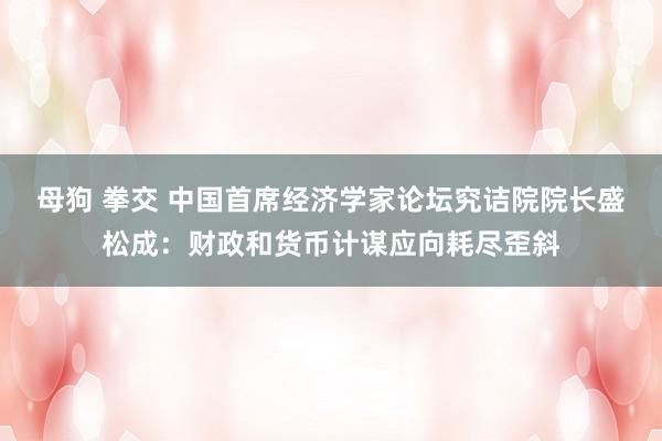 母狗 拳交 中国首席经济学家论坛究诘院院长盛松成：财政和货币计谋应向耗尽歪斜