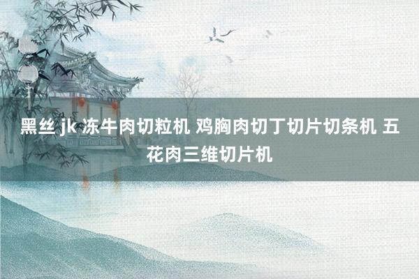 黑丝 jk 冻牛肉切粒机 鸡胸肉切丁切片切条机 五花肉三维切片机