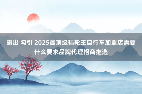 露出 勾引 2025最顶级辐轮王自行车加盟店需要什么要求品牌代理招商推选