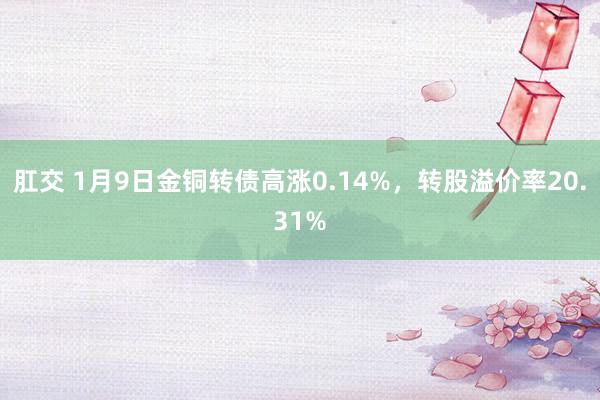 肛交 1月9日金铜转债高涨0.14%，转股溢价率20.31%