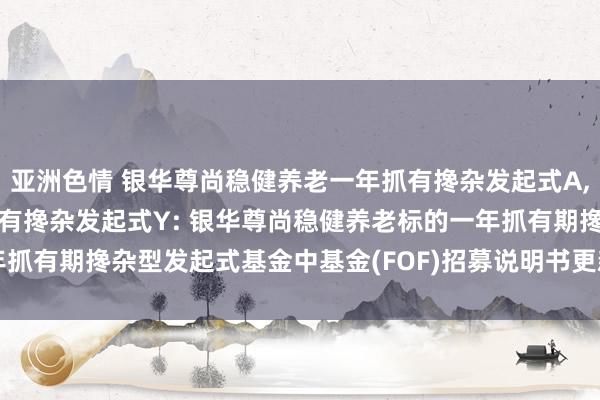 亚洲色情 银华尊尚稳健养老一年抓有搀杂发起式A,银华尊尚稳健养老一年抓有搀杂发起式Y: 银华尊尚稳健养老标的一年抓有期搀杂型发起式基金中基金(FOF)招募说明书更新(2025年第1号)