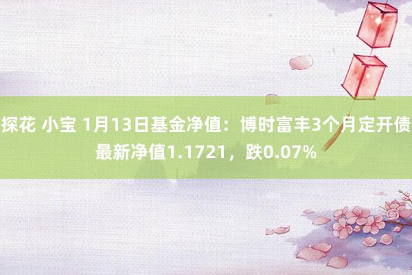 探花 小宝 1月13日基金净值：博时富丰3个月定开债最新净值1.1721，跌0.07%