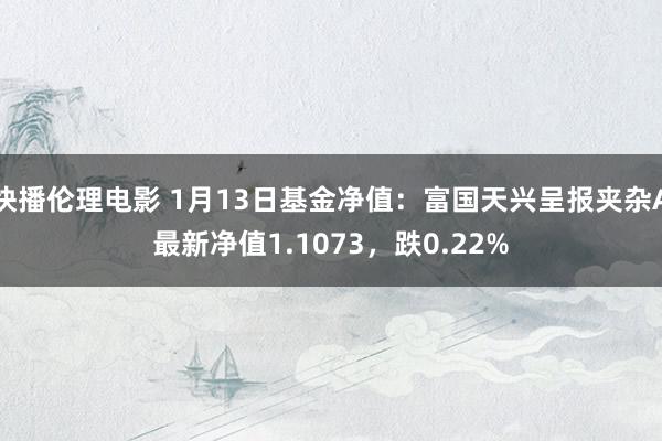 快播伦理电影 1月13日基金净值：富国天兴呈报夹杂A最新净值1.1073，跌0.22%