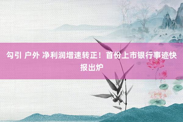 勾引 户外 净利润增速转正！首份上市银行事迹快报出炉