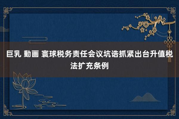 巨乳 動画 寰球税务责任会议坑诰抓紧出台升值税法扩充条例