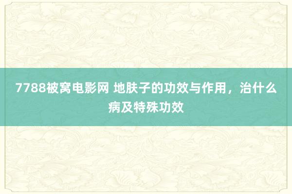 7788被窝电影网 地肤子的功效与作用，治什么病及特殊功效