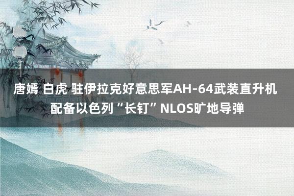 唐嫣 白虎 驻伊拉克好意思军AH-64武装直升机 配备以色列“长钉”NLOS旷地导弹