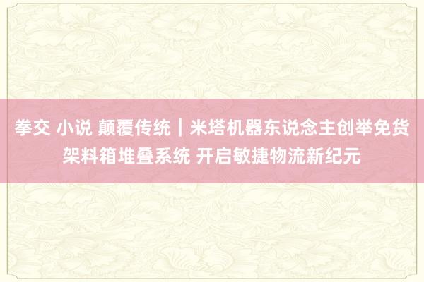 拳交 小说 颠覆传统｜米塔机器东说念主创举免货架料箱堆叠系统 开启敏捷物流新纪元