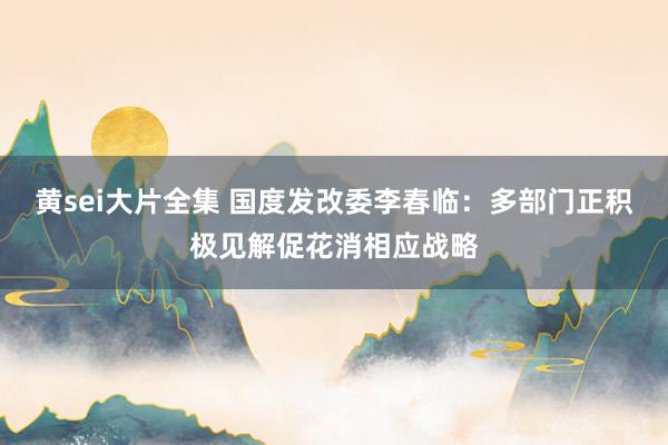 黄sei大片全集 国度发改委李春临：多部门正积极见解促花消相应战略