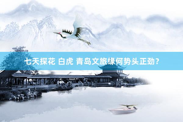 七天探花 白虎 青岛文旅缘何势头正劲？