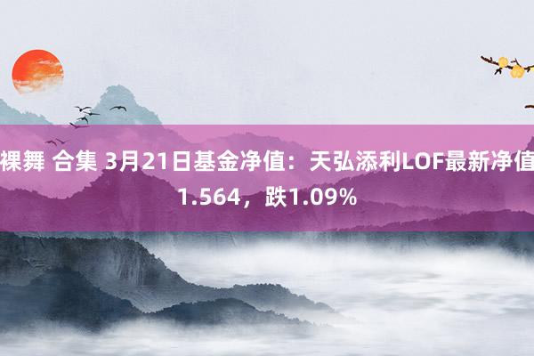 裸舞 合集 3月21日基金净值：天弘添利LOF最新净值1.564，跌1.09%