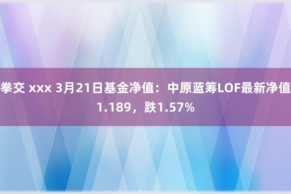 拳交 xxx 3月21日基金净值：中原蓝筹LOF最新净值1.189，跌1.57%