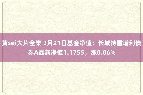黄sei大片全集 3月21日基金净值：长城持重增利债券A最新净值1.1755，涨0.06%