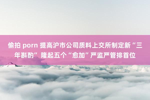 偷拍 porn 提高沪市公司质料上交所制定新“三年斟酌” 隆起五个“愈加”严监严管排首位