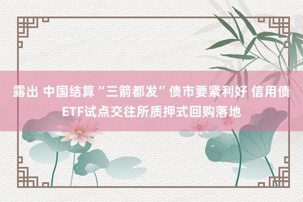 露出 中国结算“三箭都发”债市要紧利好 信用债ETF试点交往所质押式回购落地