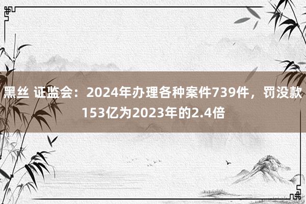 黑丝 证监会：2024年办理各种案件739件，罚没款153亿为2023年的2.4倍
