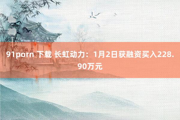 91porn 下载 长虹动力：1月2日获融资买入228.90万元