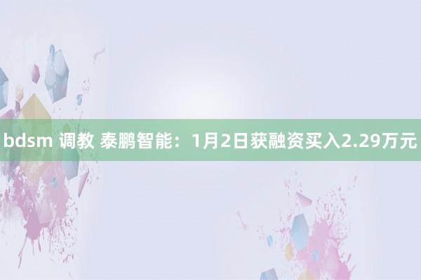 bdsm 调教 泰鹏智能：1月2日获融资买入2.29万元