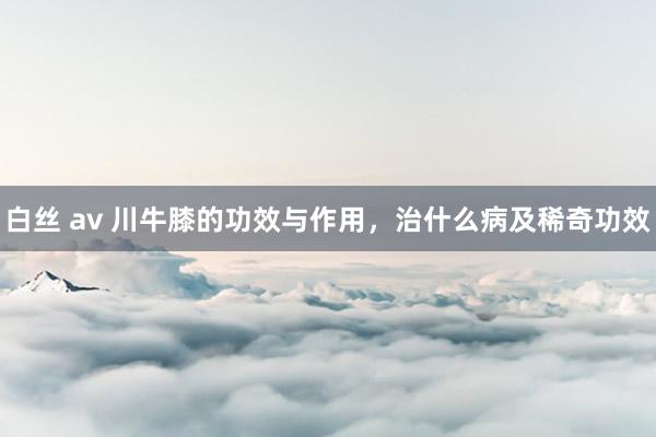 白丝 av 川牛膝的功效与作用，治什么病及稀奇功效