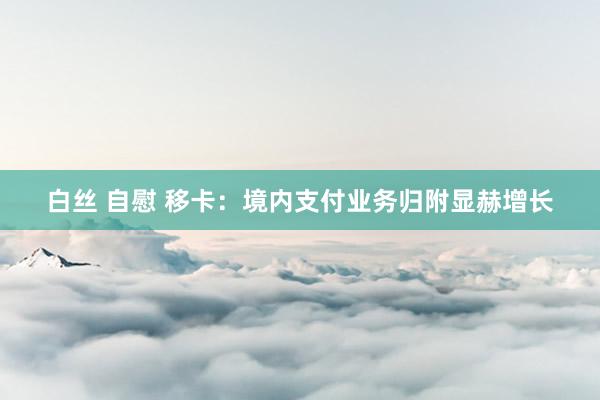 白丝 自慰 移卡：境内支付业务归附显赫增长