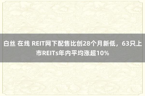 白丝 在线 REIT网下配售比创28个月新低，63只上市REITs年内平均涨超10%